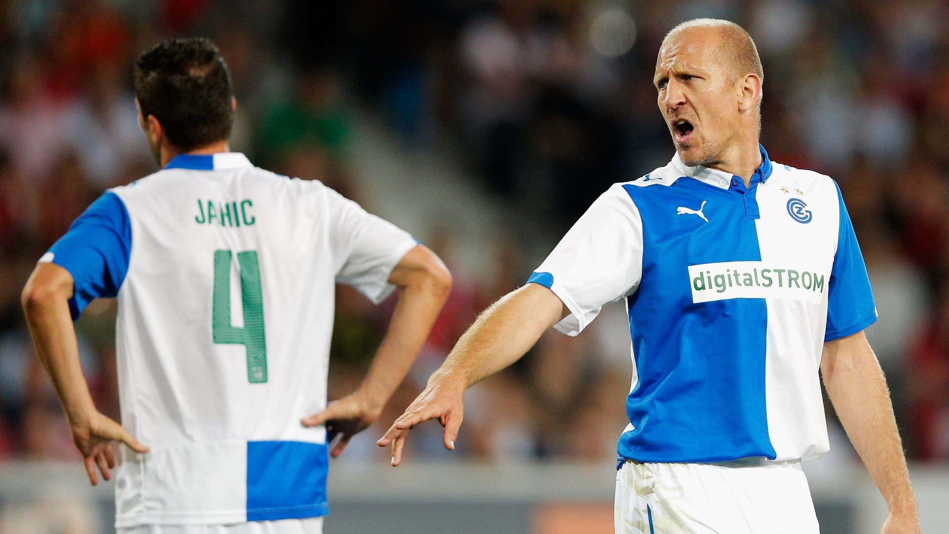 样性和冒险 样性和冒险